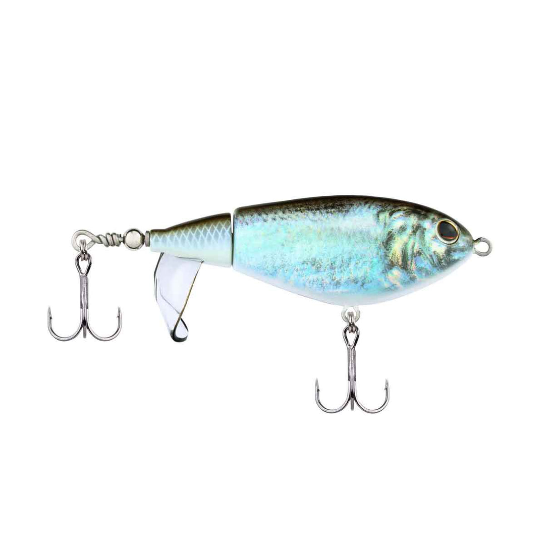 Choppo_HD Blueback Herring