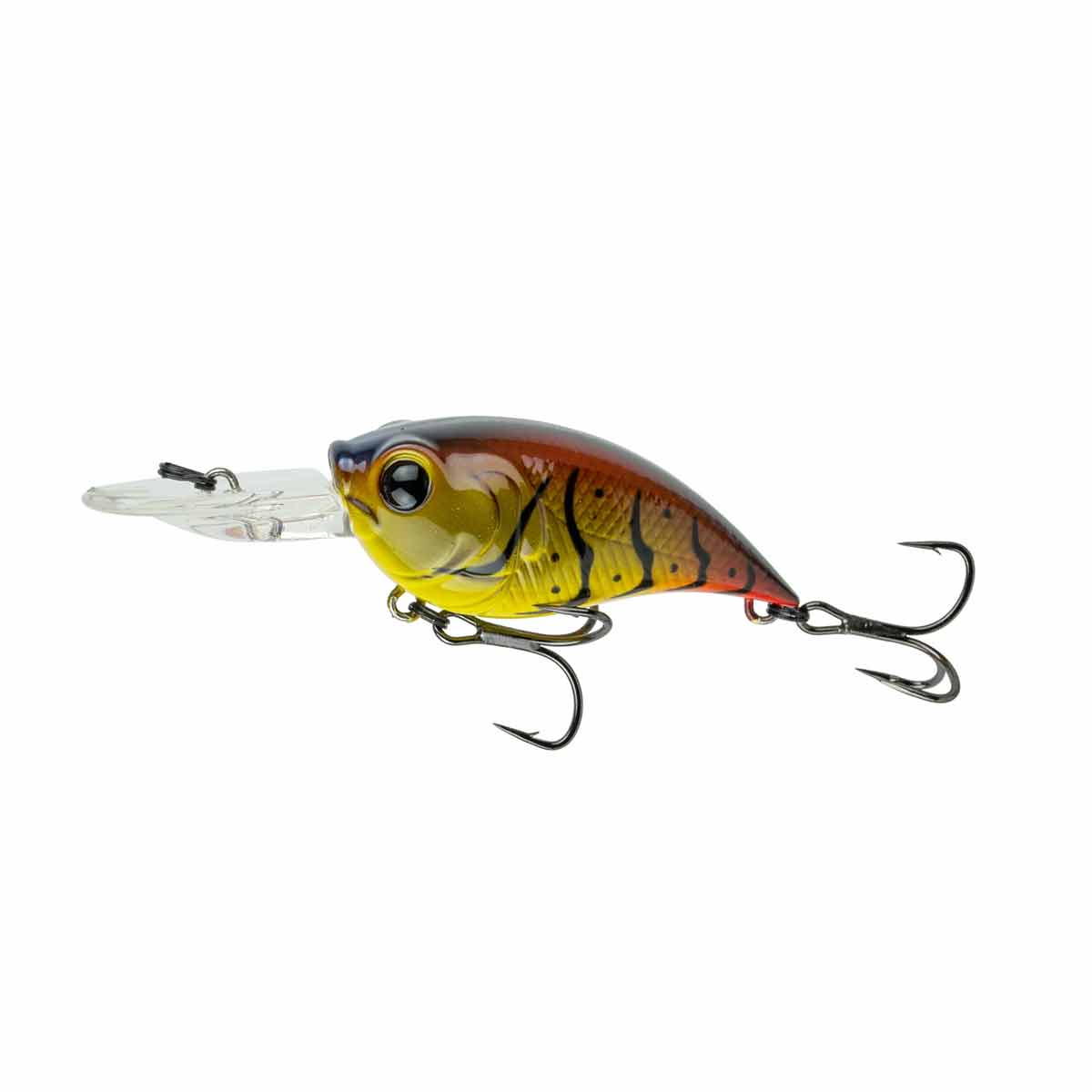 Curve 55_Gravel Craw