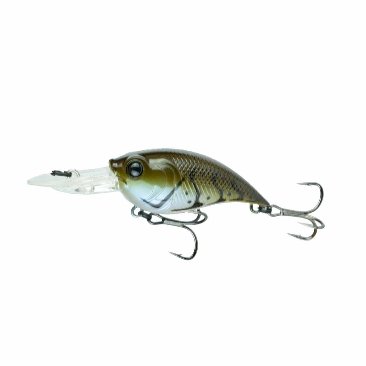 Curve 55_GP Blue Craw