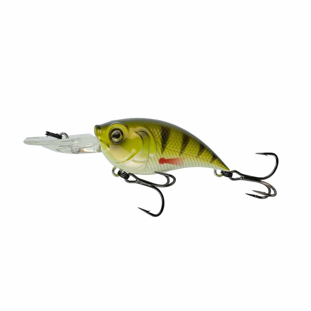 Curve 55_Yellow Perch