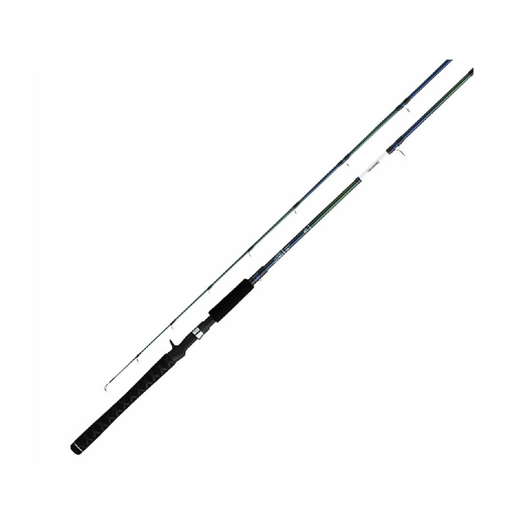 Close-up of aluminum oxide guide on Daiwa Wilderness rod