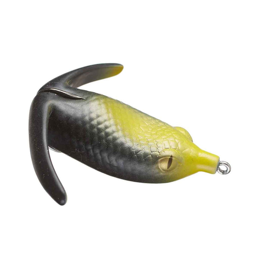 Deps Basirisky Frog