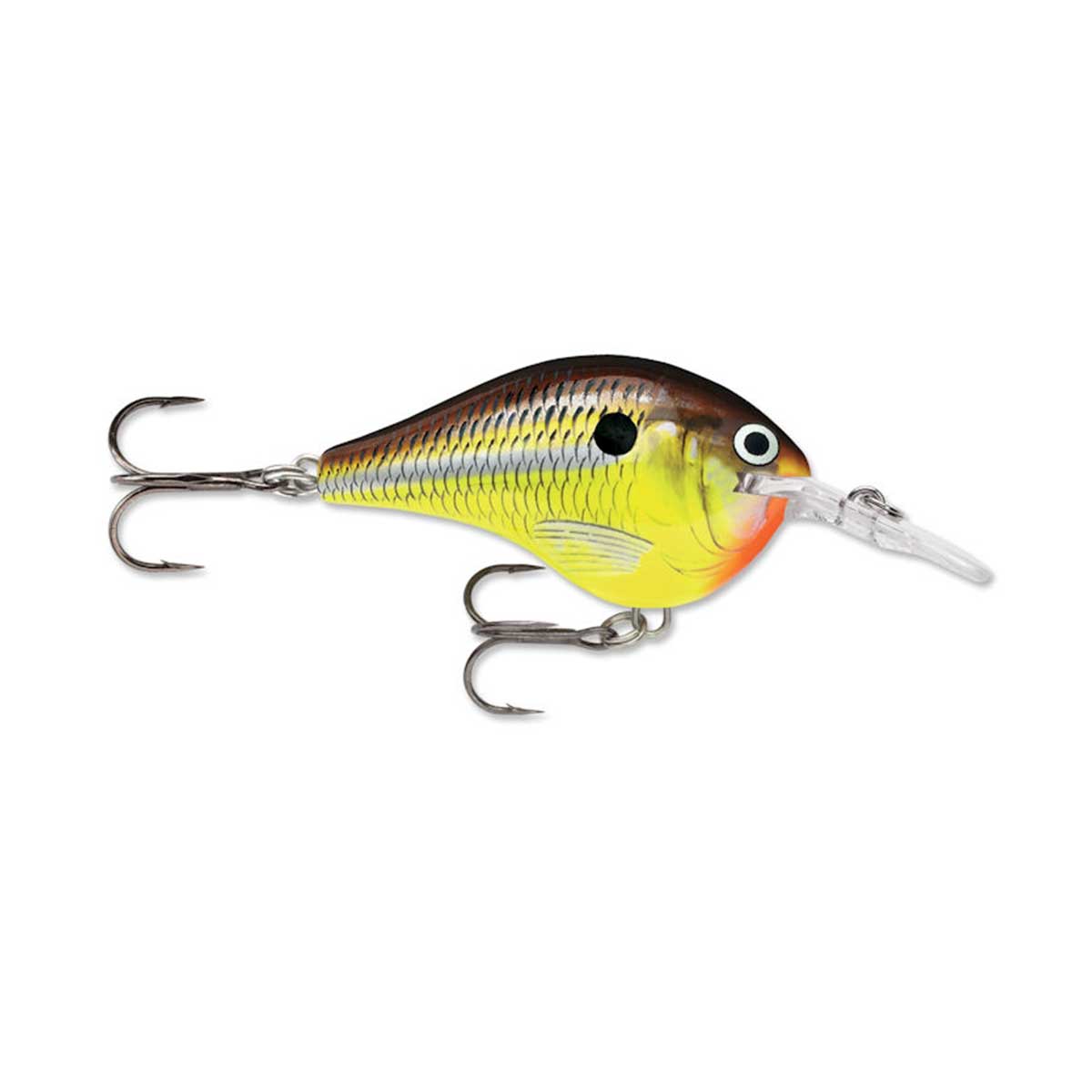 ト*】様 Rapala DT クランクベイト セット Rapala DT Series Crankbaits | Dives-To Bass Crankbaits
