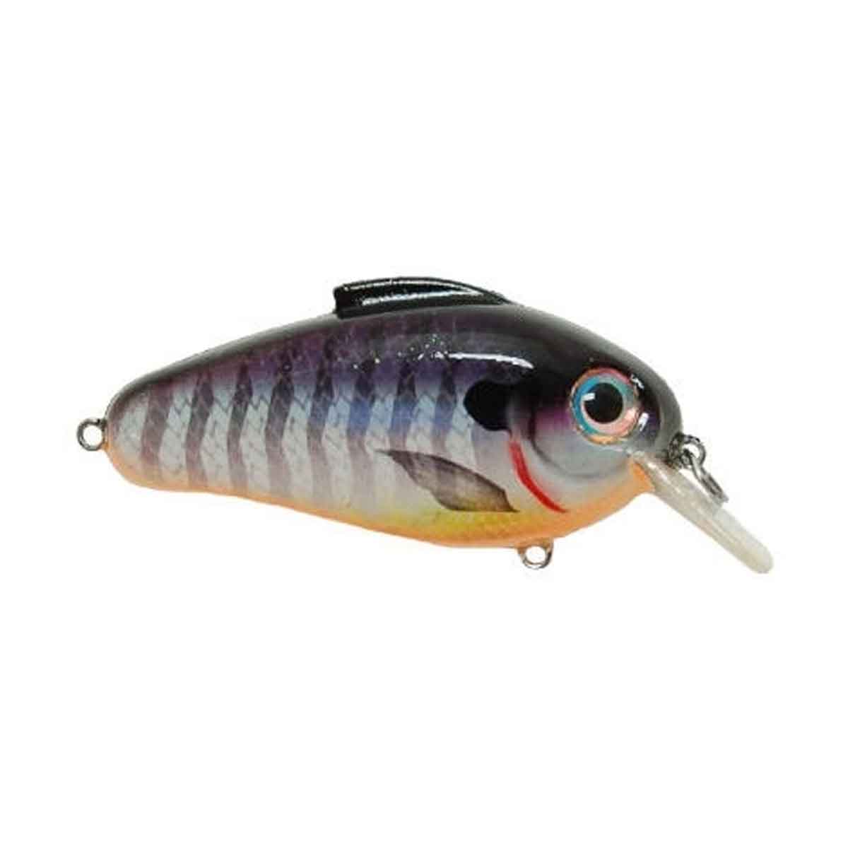 Echo Crankbait_Blueberry Perch*