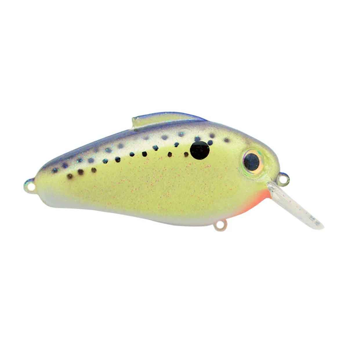 Echo Crankbait_Cell Mate