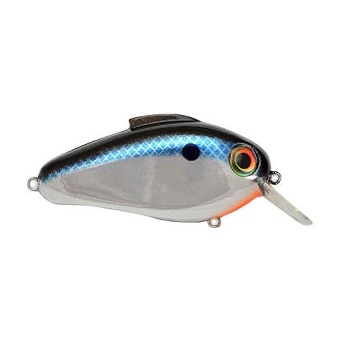 Echo Crankbait_Chrome Shad