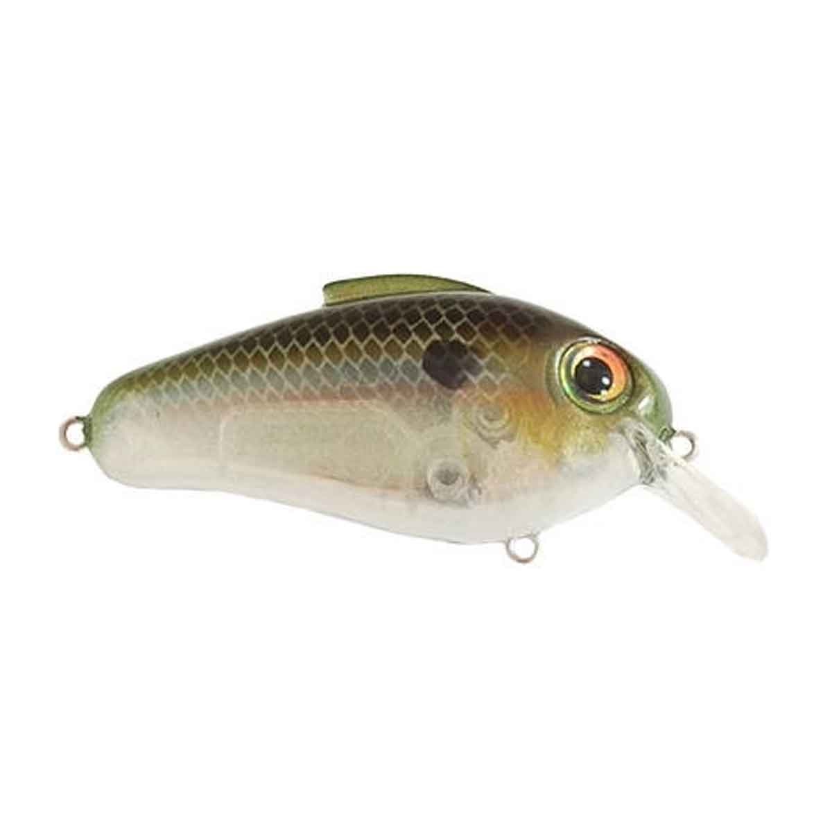 Echo Crankbait_Ghost Minnow