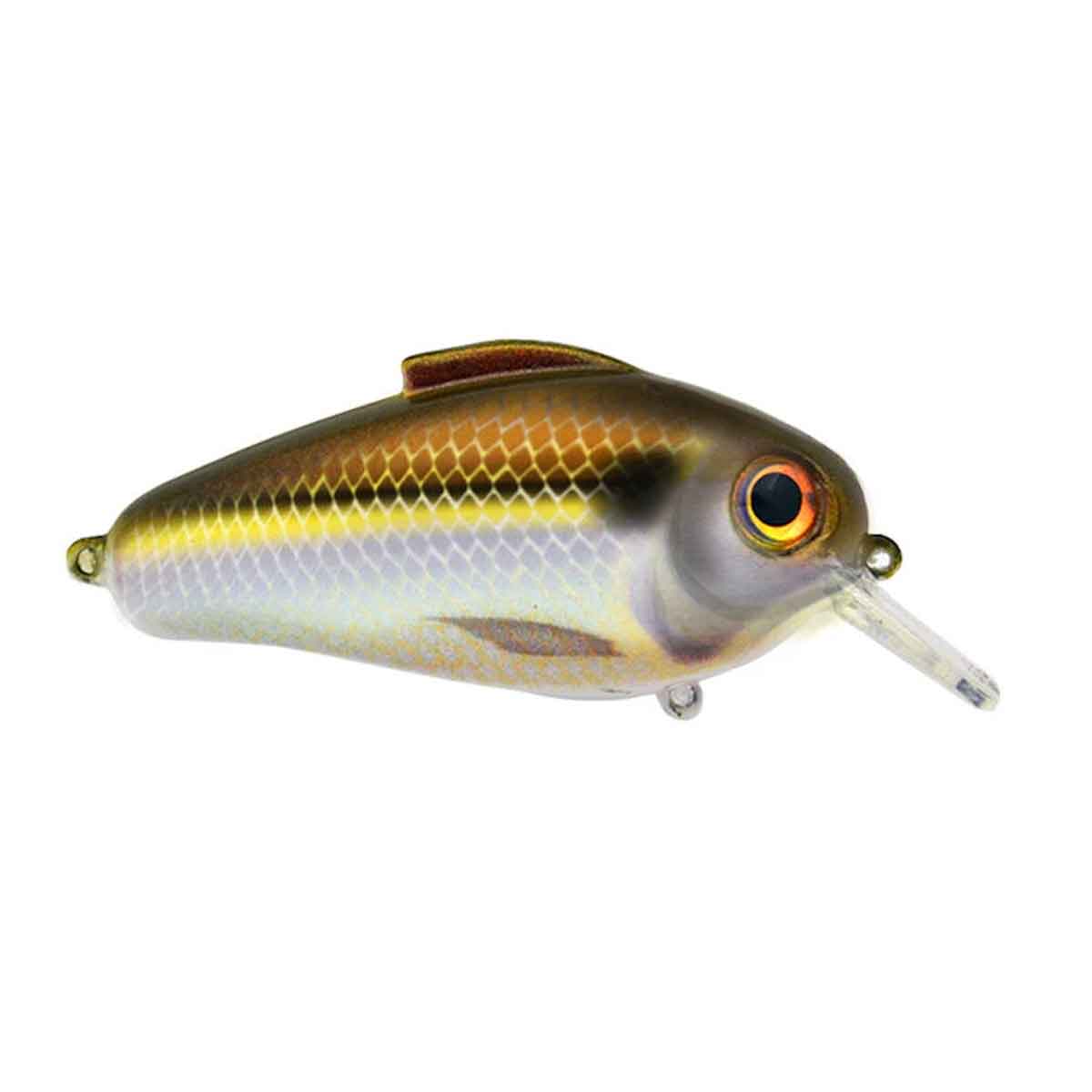 Echo Crankbait_Gizzard Shad*