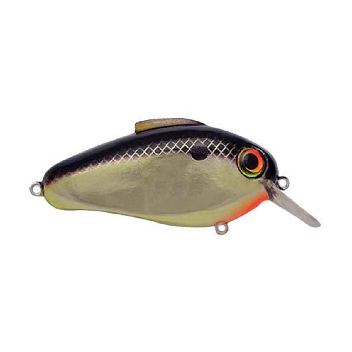 Echo Crankbait_Gold Shad