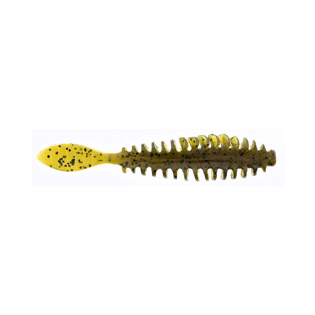 Poor Boys Baits Erie Darter
