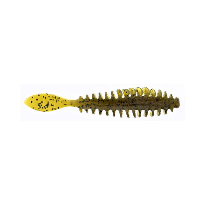 Poor Boys Baits Erie Darter