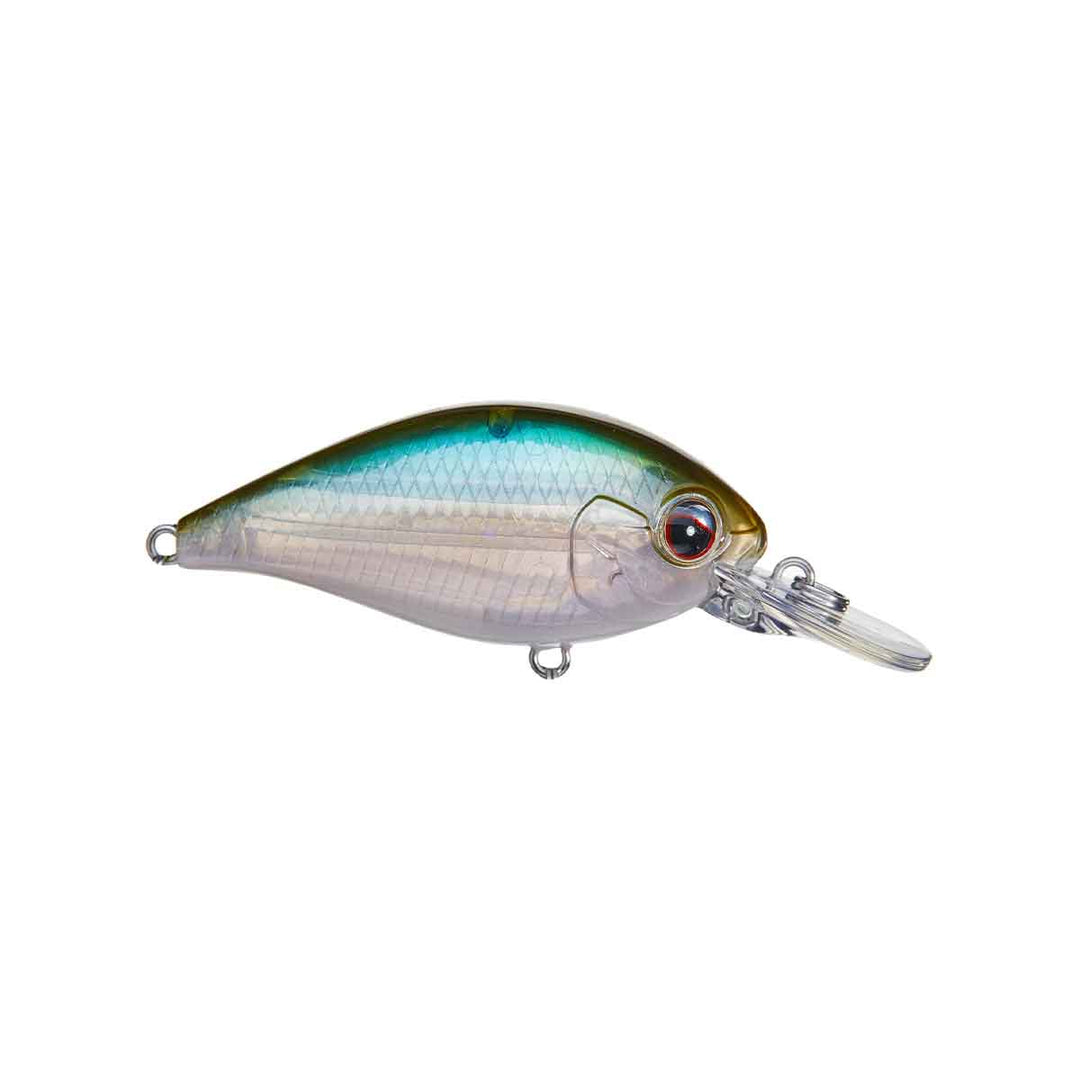 Ever Green CR-6 Crankbait
