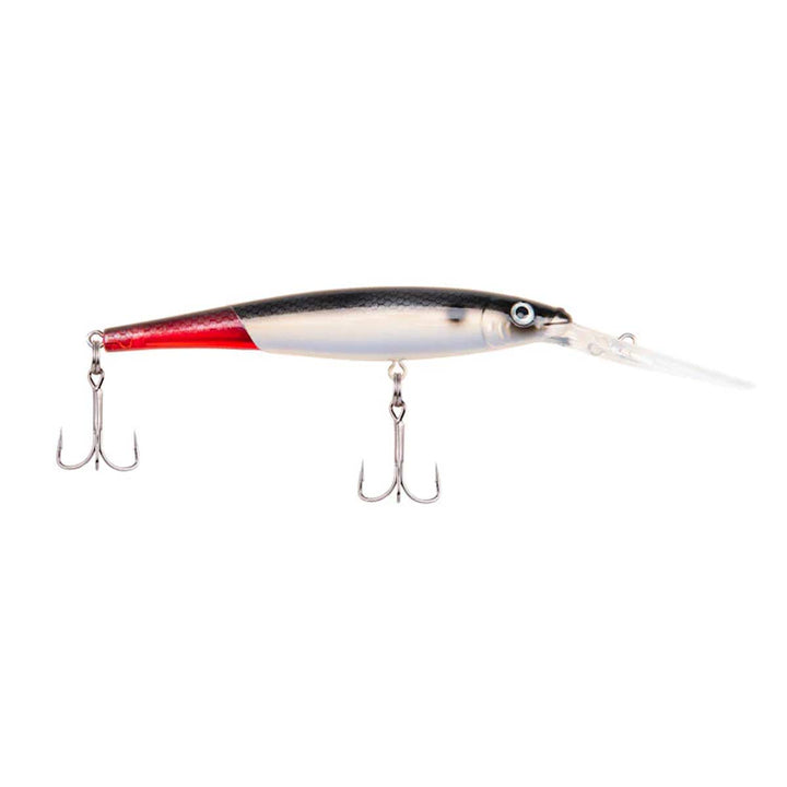 Flicker Minnow_Firetail Red Tail*