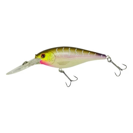 Berkley Flicker Shad crankbait for walleye – Purple tiger