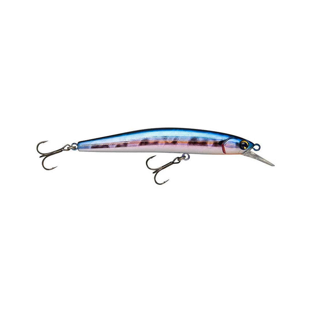 Flit 100_American Shad