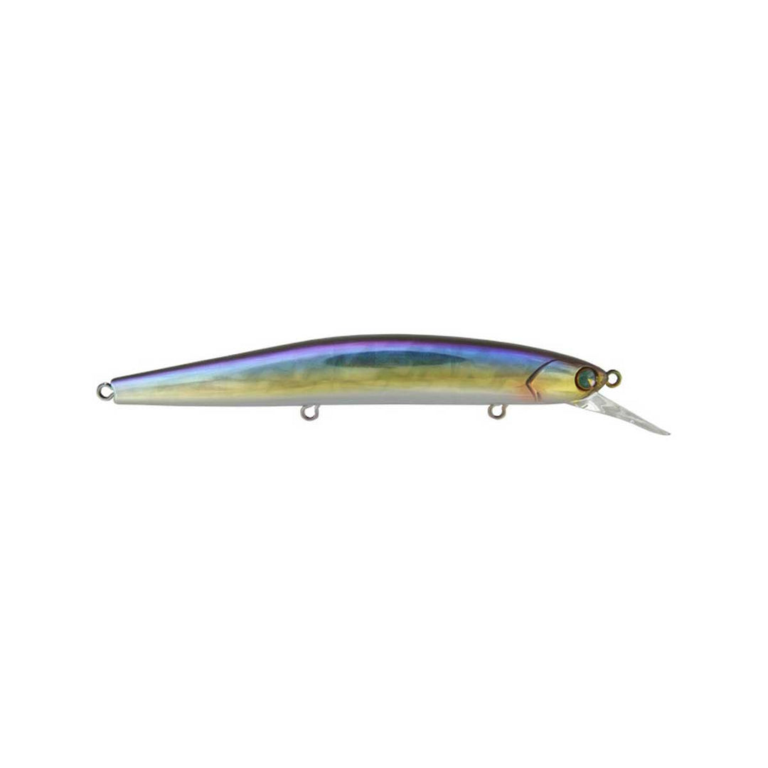 Flit 120_American Shad