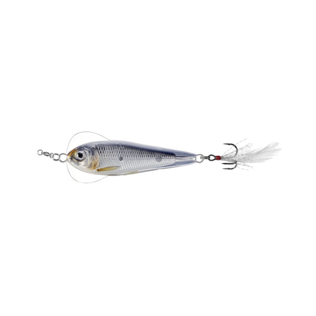 Live Target Flutter Shad - Fishermans Central