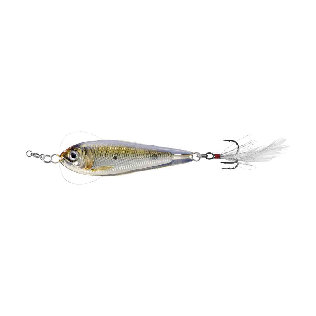 Live Target Flutter Shad - Fishermans Central