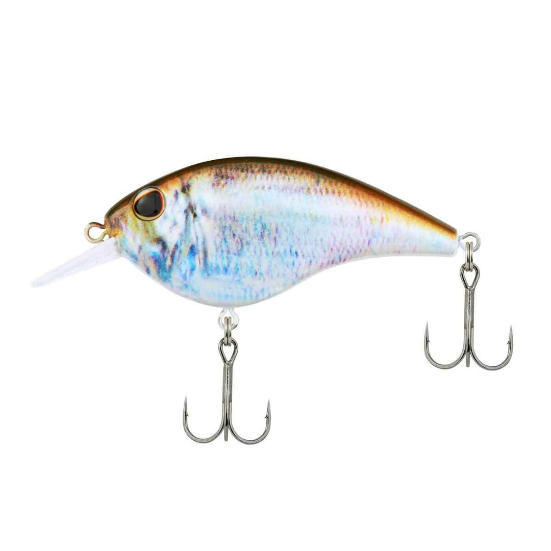 Frittside HD_HD Blueback Herring