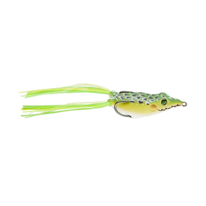 The Frog Factory Sonic Boom Frog - Fishermans Central