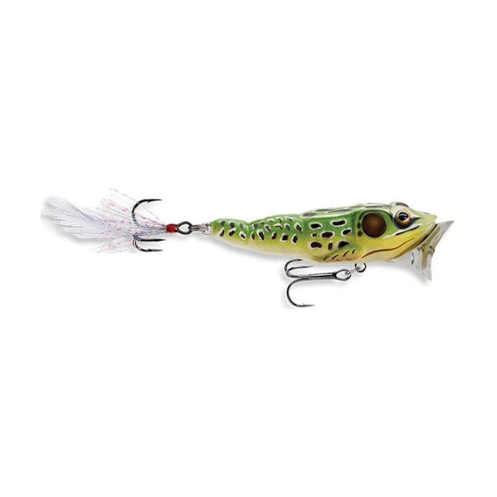 LiveTarget Frog Popper