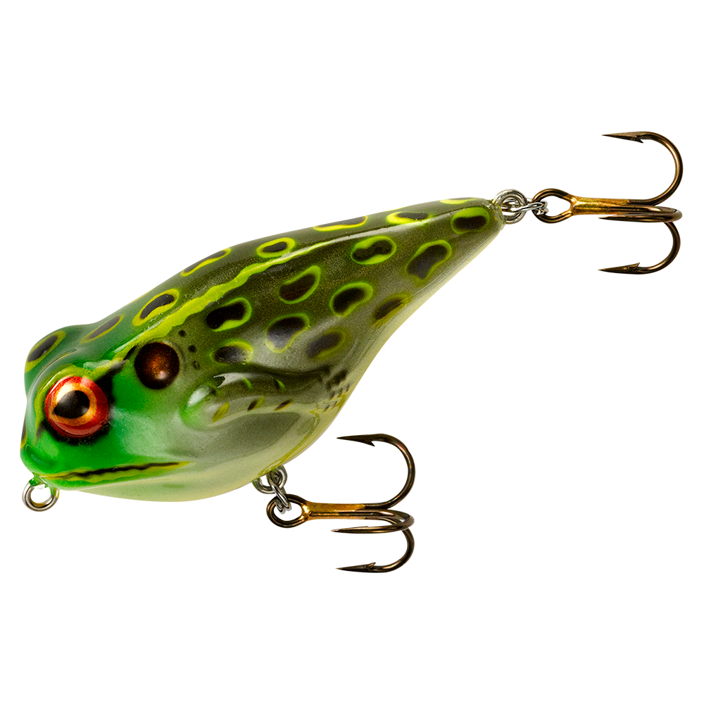 Rebel Frog R