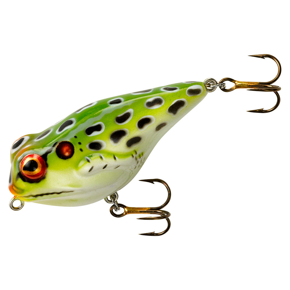 Rebel Frog R