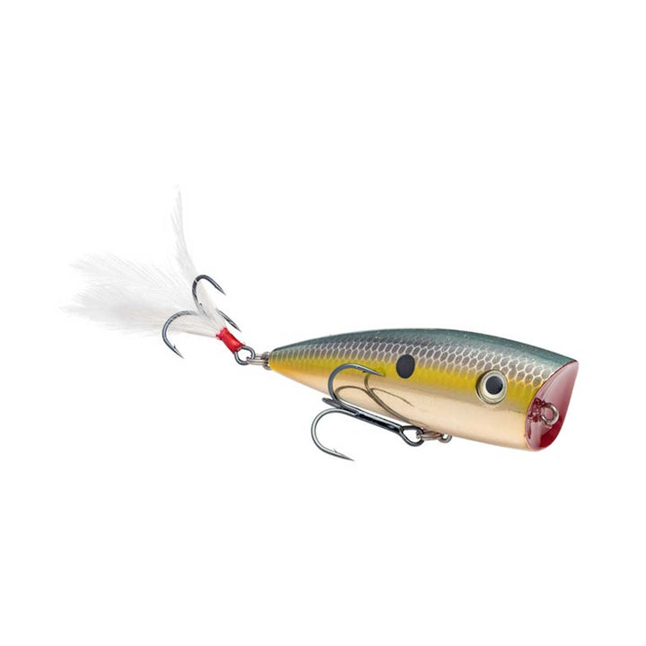 Strike King KVD Splash Popper
