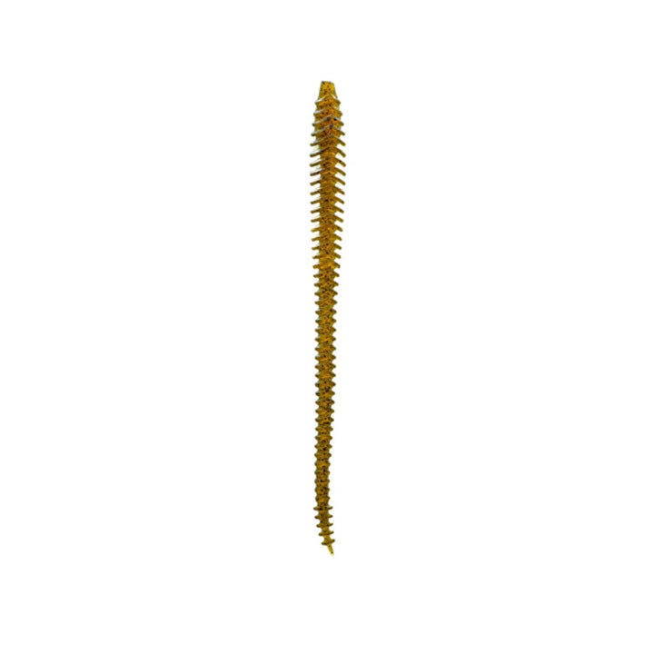 Ribbed body detail of Boosa 6.5 finesse worm