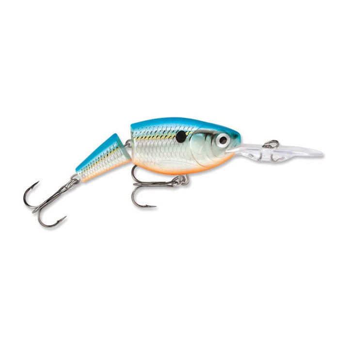 Jointed Shad Rap_Blue Shad