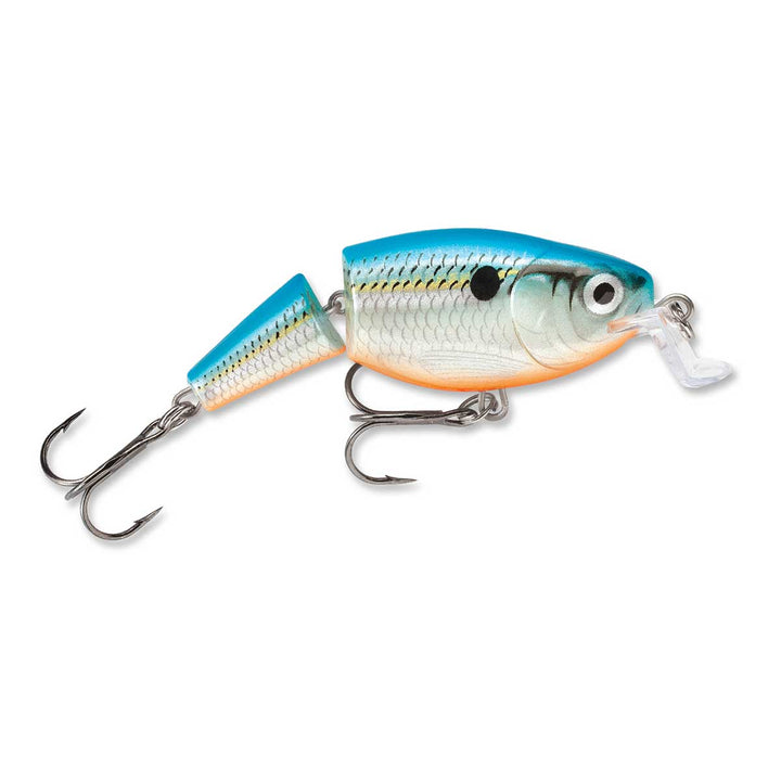 Jointed Shallow Shad Rap_Blue Shad