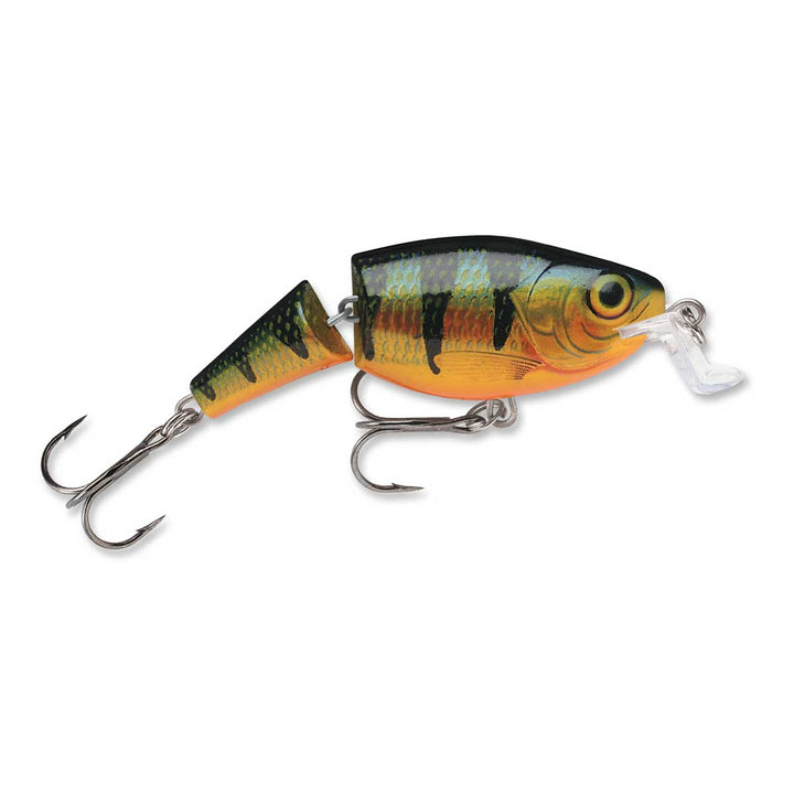 Jointed Shallow Shad Rap_Perch