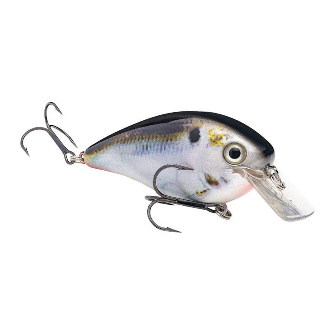 Strike King KVD Squarebill