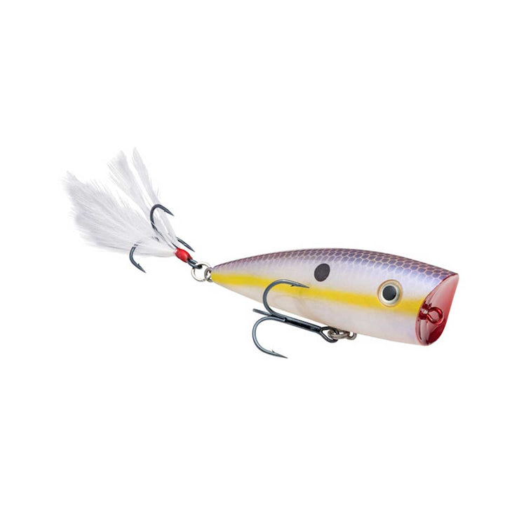 Strike King KVD Splash Popper