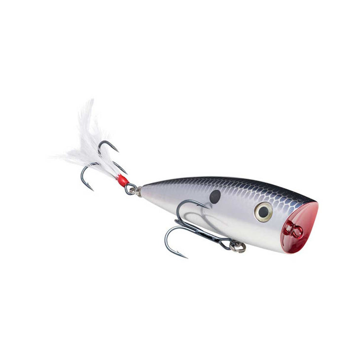 Strike King KVD Splash Popper