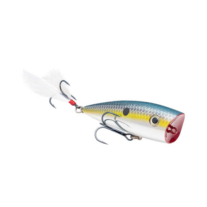 Strike King KVD Splash Popper