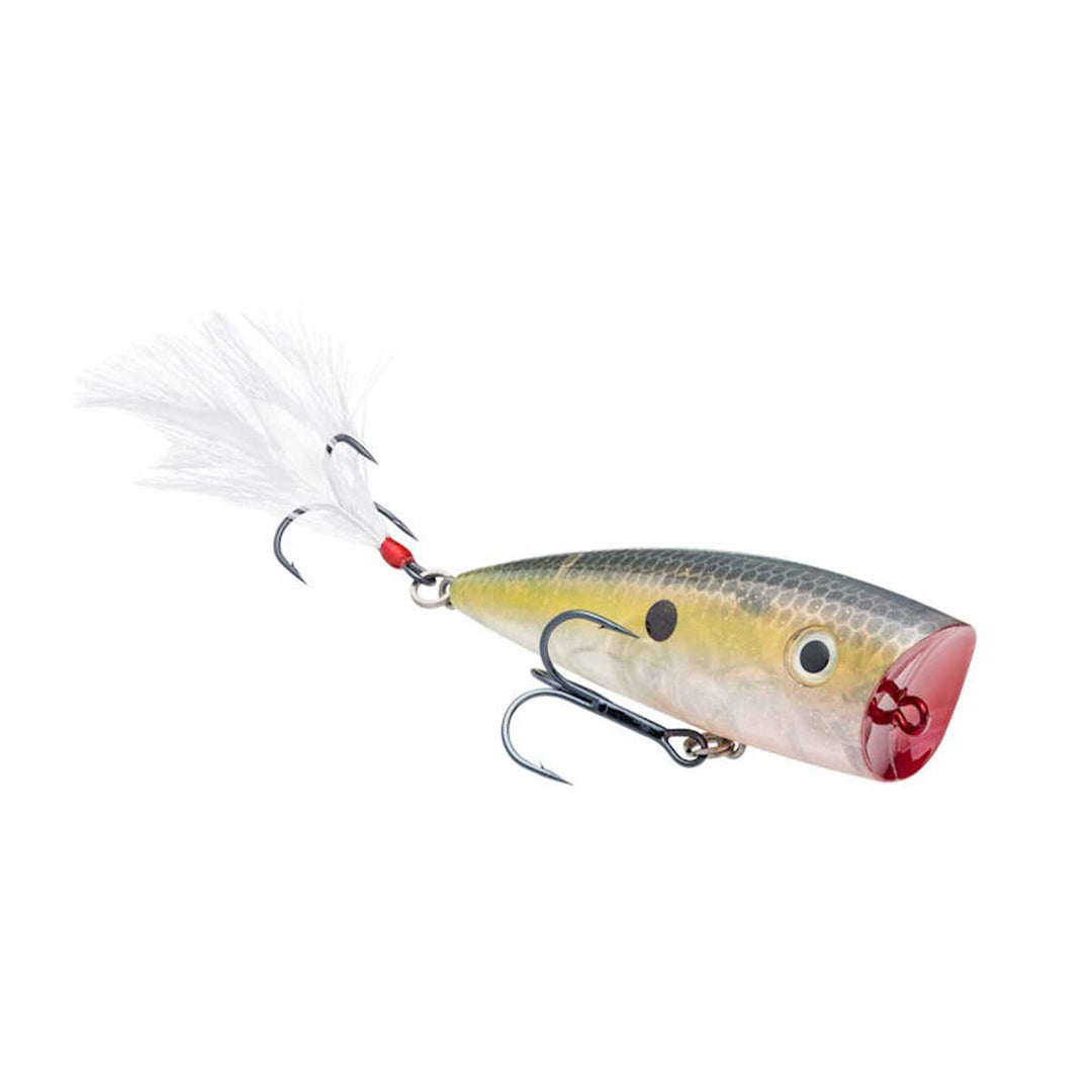 Strike King KVD Splash Popper