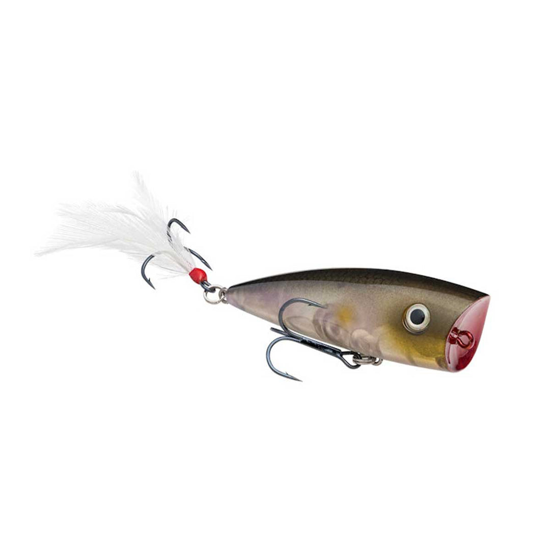 Strike King KVD Splash Popper