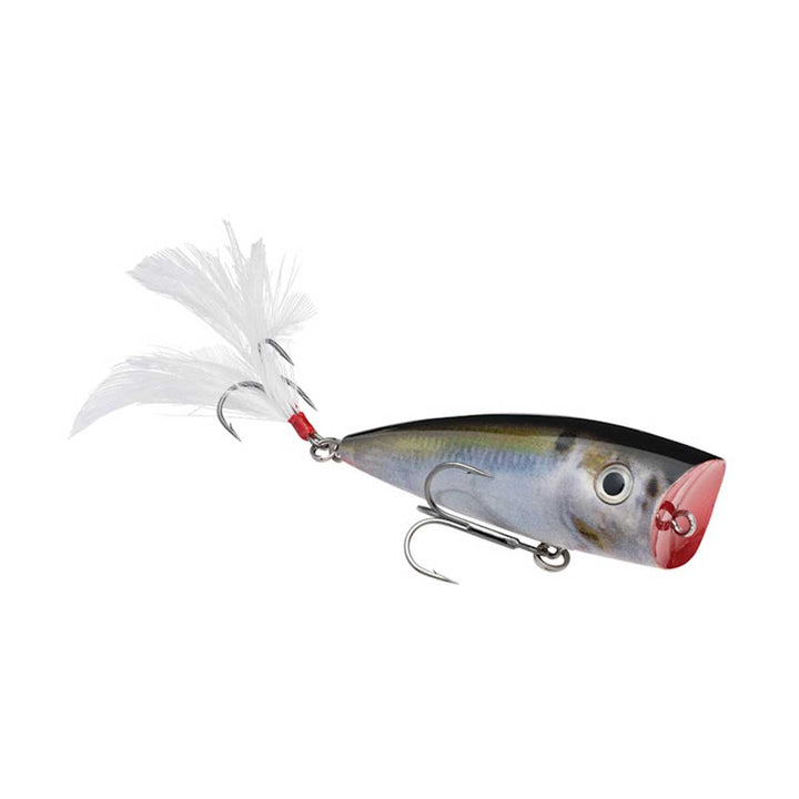 Strike King KVD Splash Popper