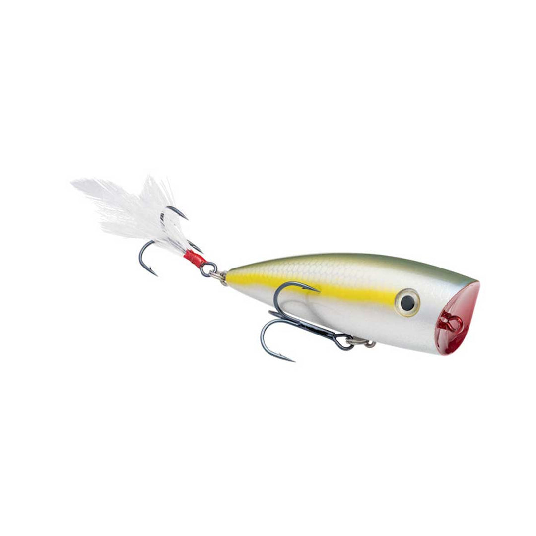 Strike King KVD Splash Popper