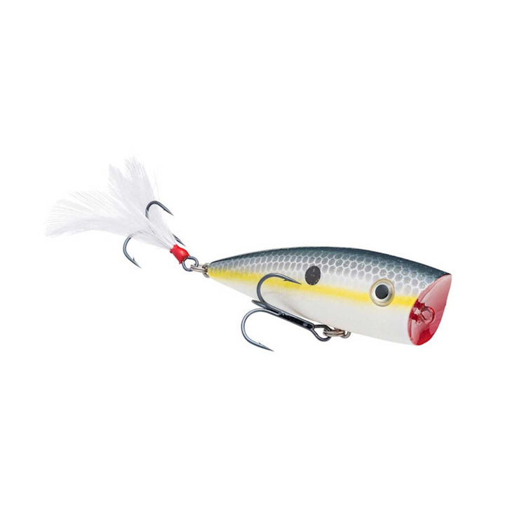 Strike King KVD Splash Popper