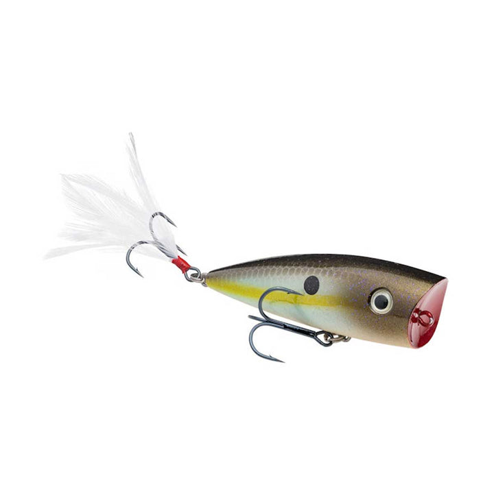 Strike King KVD Splash Popper