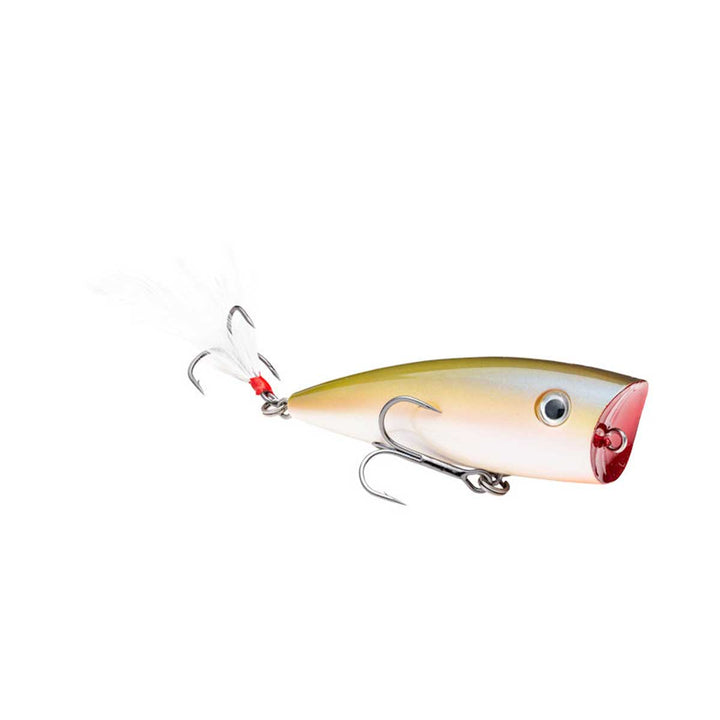 Strike King KVD Splash Popper