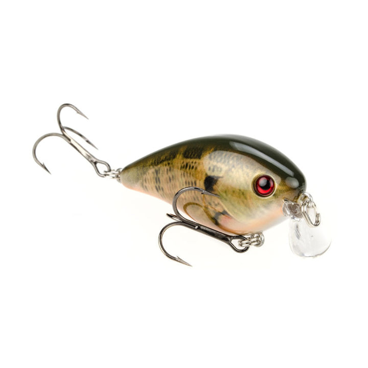 KVD 1.5 Shallow Crankbait
