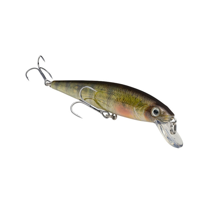 Strike King KVD Jerkbait