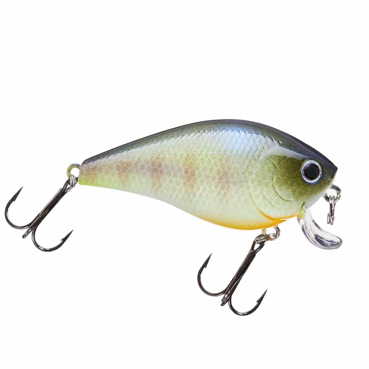 Esca Lucky Craft Flashminnow Lucky Craft SW Flashminnow 110 - Esca Jerkbait Per Pesca In Mare, Colore Acciuga, 16.5g Jerkbait Saltwater SW-FM110 - Foto 8
