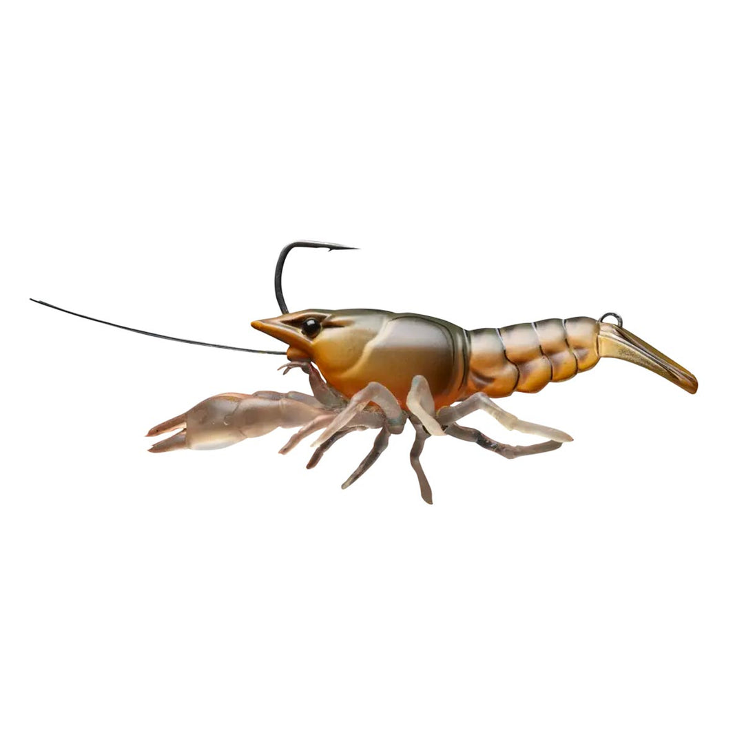 LiveTarget Live Craw_Orange Pumpkin
