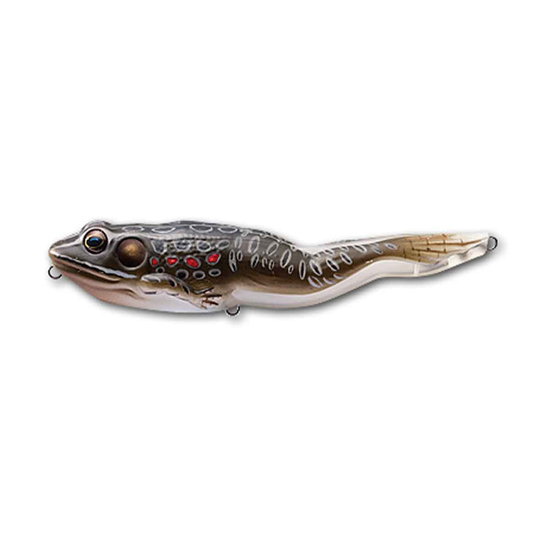 basd fishing frog lure Five Piece Topwater Lures Set For Freshwater Stanley Ribbit 3.5 Frog Lure