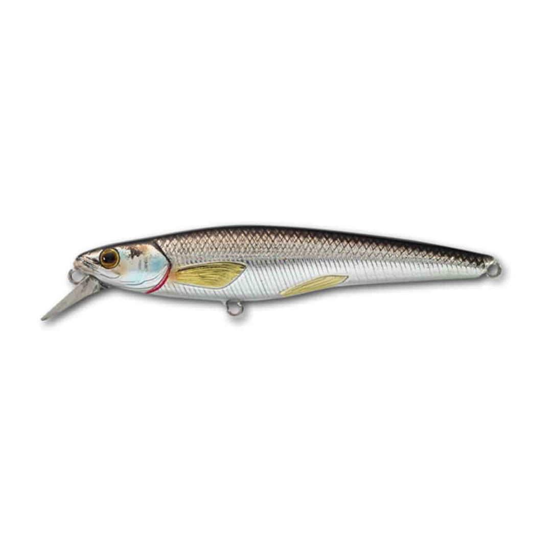 LIVETARGET Rainbow Smelt Jerkbait