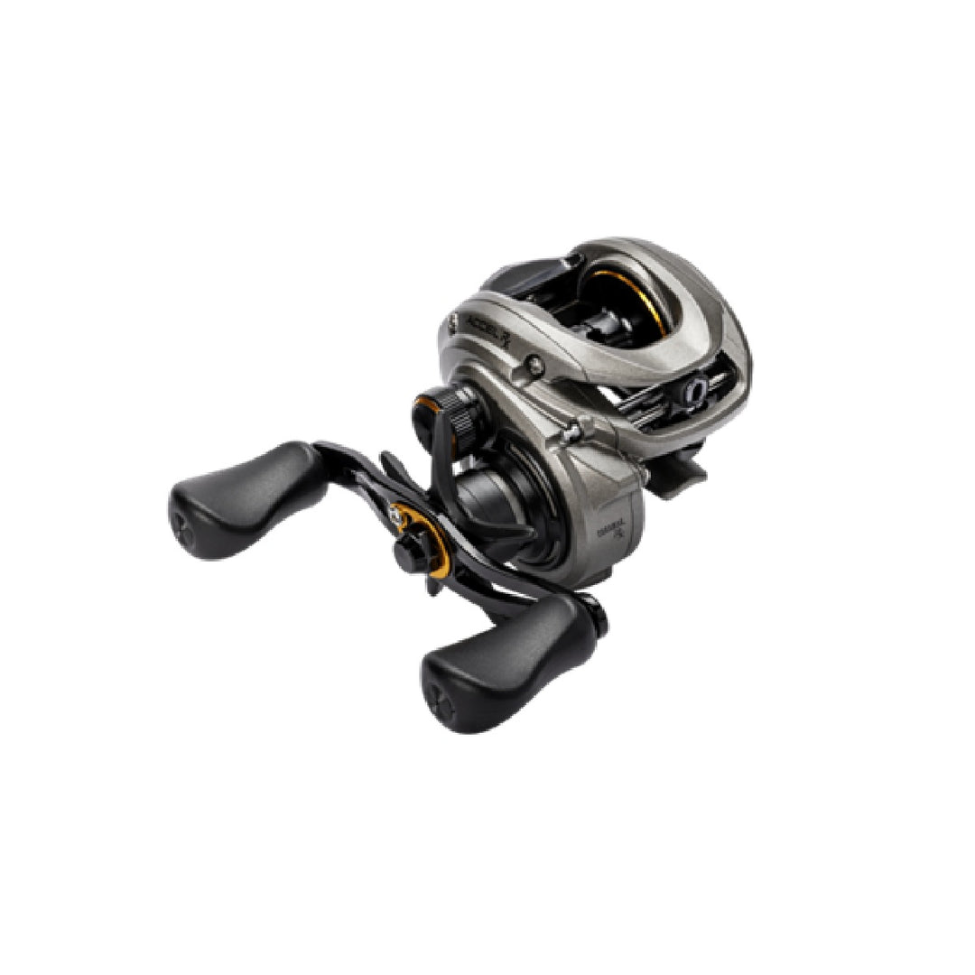 Lew's Accel RX Baitcasting Reel